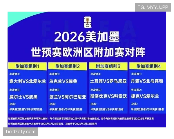 波黑冲击2026世界杯赛程前瞻：出线形势与关键战分析