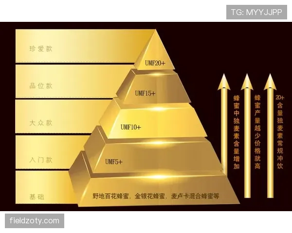 新西兰争夺G组前两名机会分析